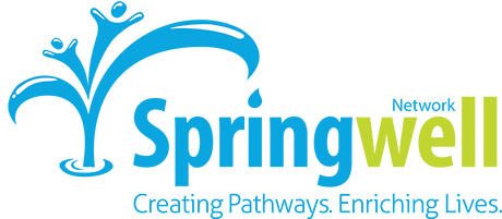 Springwell Network Inc. Logo